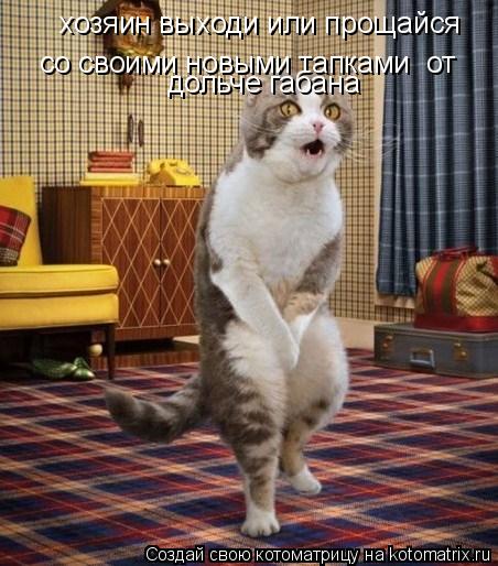 хозяин выходи или прощайся со своими новыми тапками от со своими новыми тапками от дольче габана... Котоматрица: хозяин выходи или прощайся со своими новыми тапками от со своими новыми тапками от дольче габана