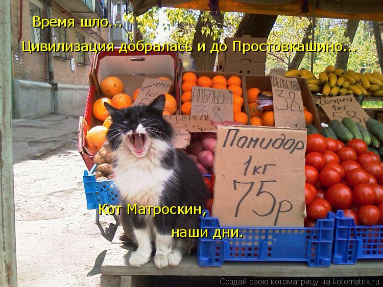 Цивилизация добралась и до Простовкашино... Время шло... Кот Матроскин, наши дни.... Котоматрица: Цивилизация добралась и до Простовкашино... Время шло... Кот Матроскин, наши дни.