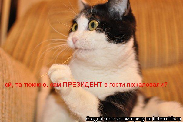 ой, та тюююю, сам ПРЕЗИДЕНТ в гости пожаловали?... Котоматрица: ой, та тюююю, сам ПРЕЗИДЕНТ в гости пожаловали?