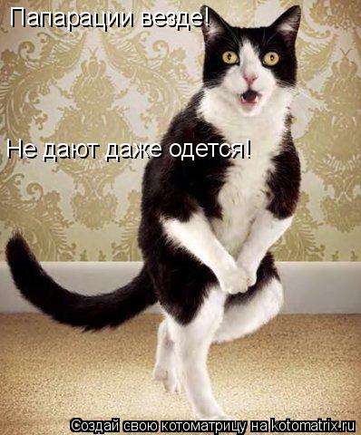 Папарации везде! Не дают даже одется!... Котоматрица: Папарации везде! Не дают даже одется!