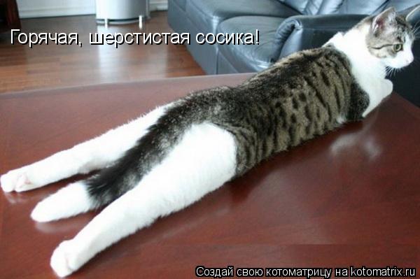 Горячая, шерстистая сосика!... Котоматрица: Горячая, шерстистая сосика!