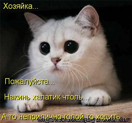 Хозяйка... Пожалуйста... Накинь халатик чтоль... А то неприлично голой то ходить...... Котоматрица: Хозяйка... Пожалуйста... Накинь халатик чтоль... А то неприлично голой то ходить...