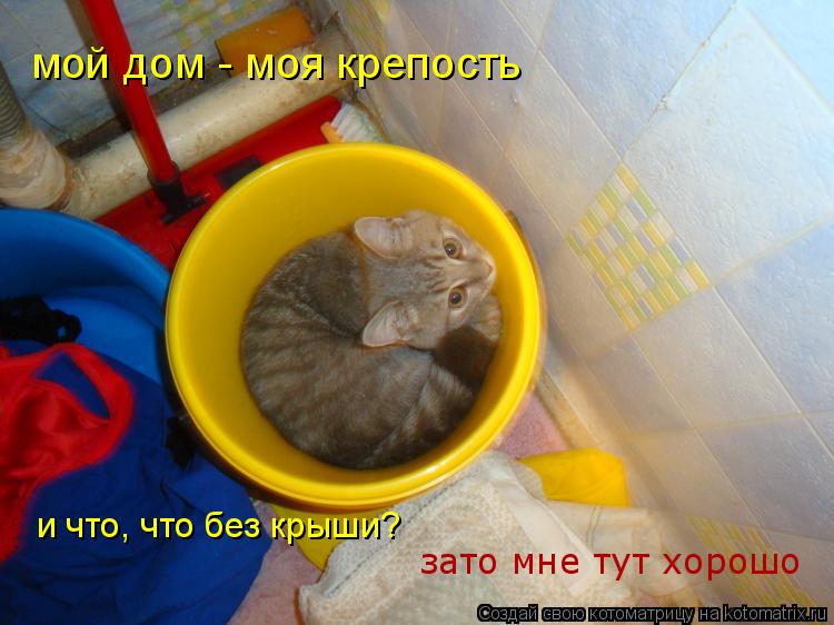 мой дом - моя крепость и что, что без крыши? зато мне тут хорошо... Котоматрица: мой дом - моя крепость и что, что без крыши? зато мне тут хорошо
