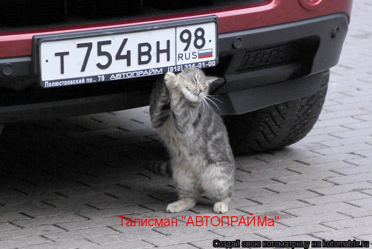 Талисман "АВТОПРАЙМа"... Котоматрица: Талисман "АВТОПРАЙМа"