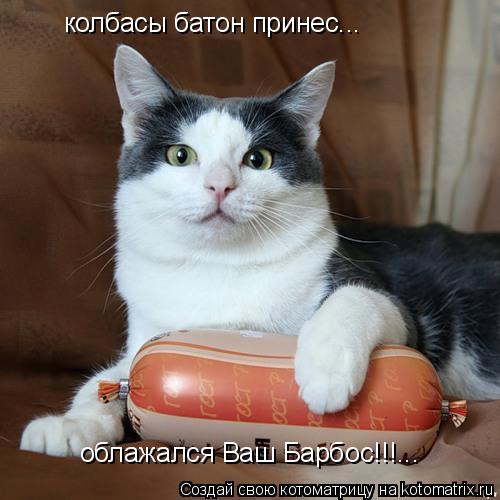 колбасы батон принес... облажался Ваш Барбос!!!...... Котоматрица: колбасы батон принес... облажался Ваш Барбос!!!...
