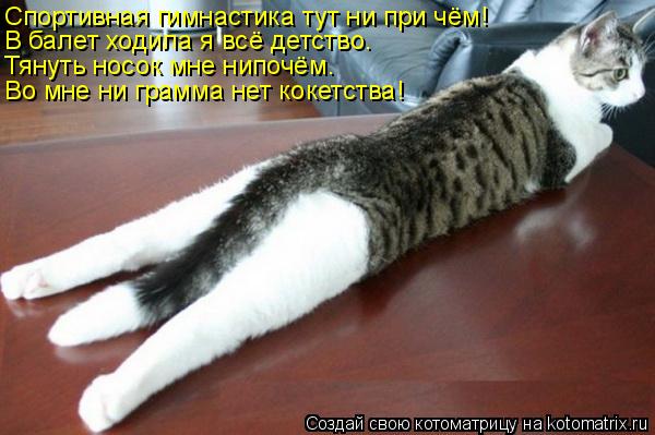 Спортивная гимнастика тут ни при чём! В балет ходила я всё детство. Тянуть носок мне нипочём. Во мне ... Котоматрица: Спортивная гимнастика тут ни при чём! В балет ходила я всё детство. Тянуть носок мне нипочём. Во мне ни грамма нет кокетства!