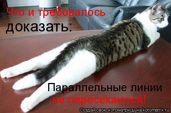 Параллельные линии не пересекаются! Что и требовалось доказать:... Котоматрица: Параллельные линии не пересекаются! Что и требовалось доказать: