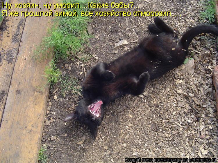 Ну, хозяин, ну уморил....Какие бабы?... Я же прошлой зимой, все хозяйство отморозил........ Котоматрица: Ну, хозяин, ну уморил....Какие бабы?... Я же прошлой зимой, все хозяйство отморозил.....