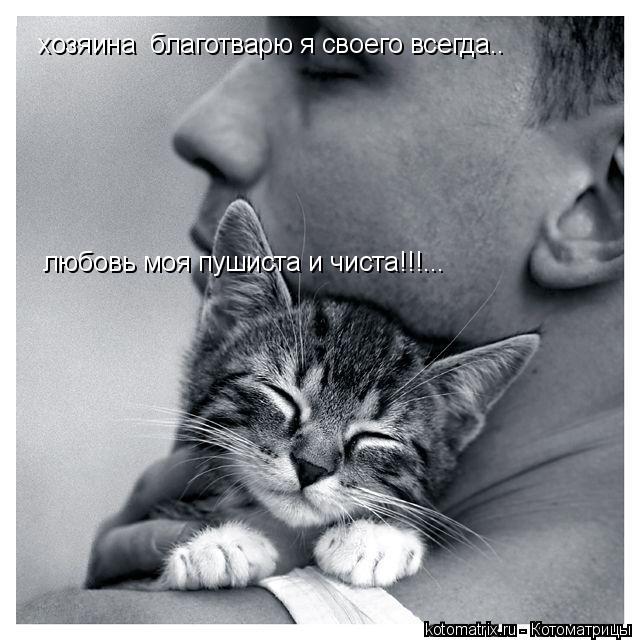 хозяина благотварю я своего всегда.. любовь моя пушиста и чиста!!!...... Котоматрица: хозяина благотварю я своего всегда.. любовь моя пушиста и чиста!!!...