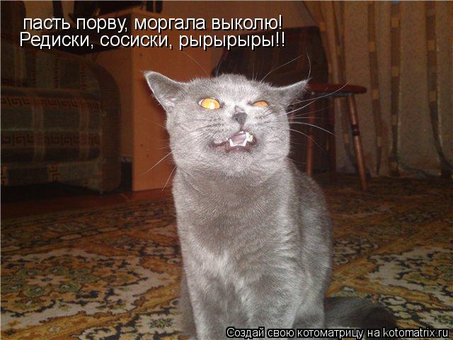 пасть порву, моргала выколю! Редиски, сосиски, рырырыры!!... Котоматрица: пасть порву, моргала выколю! Редиски, сосиски, рырырыры!!