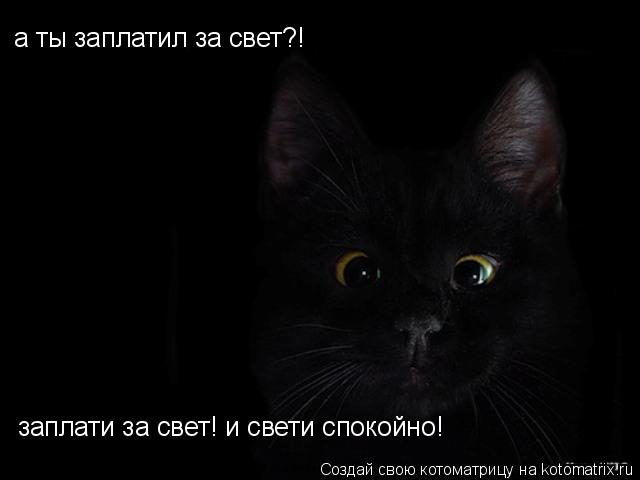 а ты заплатил за свет?! заплати за свет! и свети спокойно!... Котоматрица: а ты заплатил за свет?! заплати за свет! и свети спокойно!