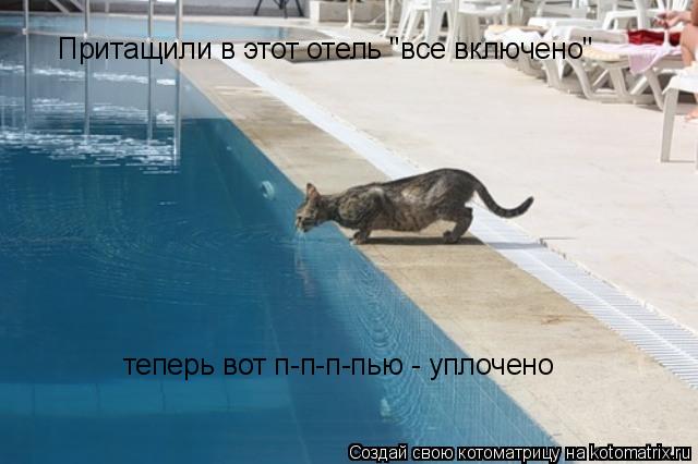 Котоматрица: Притащили в этот отель "все включено"  теперь вот п-п-п-пью - уплочено
