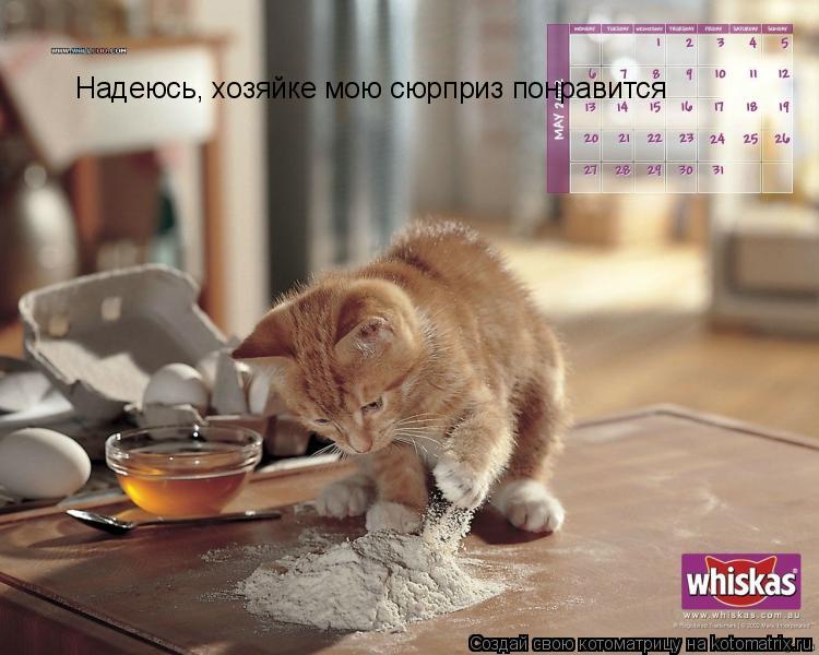 Котоматрица: Надеюсь, хозяйке мою сюрприз понравится