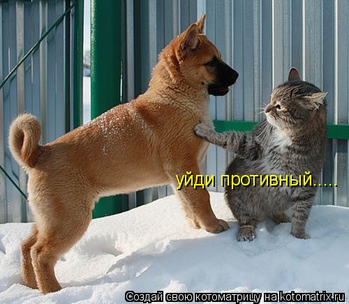 Котоматрица: уйди противный.....