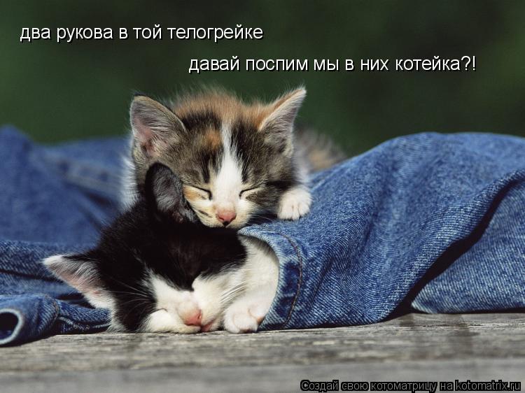 Котоматрица: два рукова в той телогрейке давай поспим мы в них котейка?!
