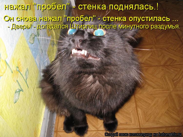 Котоматрица: нажал "пробел" - стенка поднялась.! Он снова нажал "пробел" - стенка опустилась ...    - Дверь! - догадался Штирлиц после минутного раздумья.