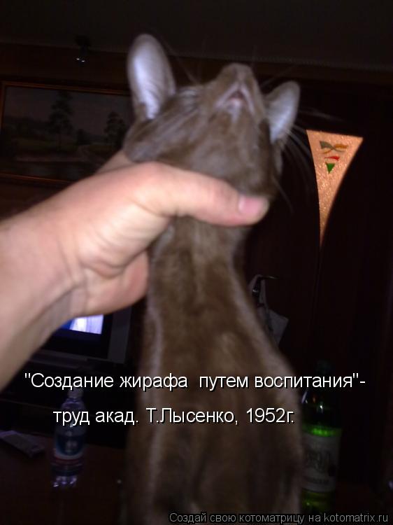 Котоматрица: "Создание жирафа  путем воспитания"-  труд акад. Т.Лысенко, 1952г.