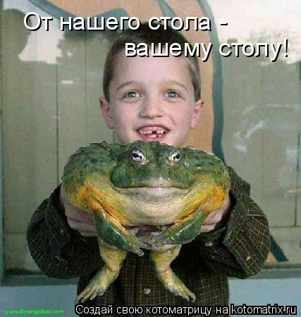 Котоматрица: От нашего стола -  вашему столу!