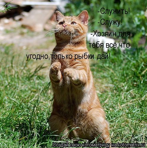 Котоматрица: -Служить! -Служу! -Хозяин,для тебя всё,что угодно,только рыбки дай!