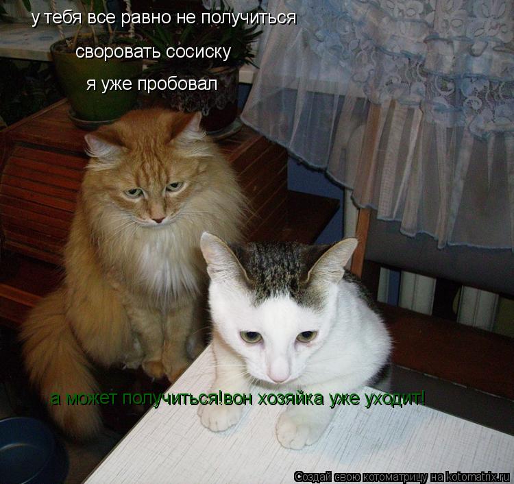 Котоматрица: у тебя все равно не получиться  своровать сосиску я уже пробовал а может получиться!вон хозяйка уже уходит!