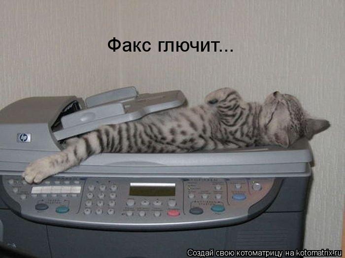 Котоматрица: Факс глючит...