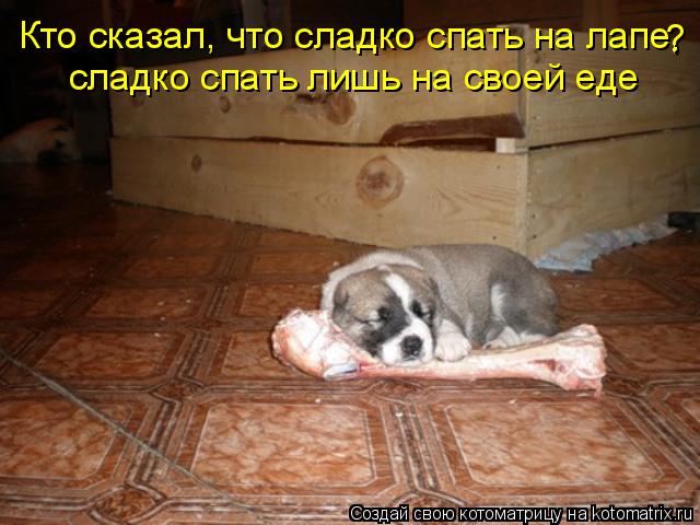 Котоматрица: Кто сказал, что сладко спать на лапе, сладко спать лишь на своей еде ?