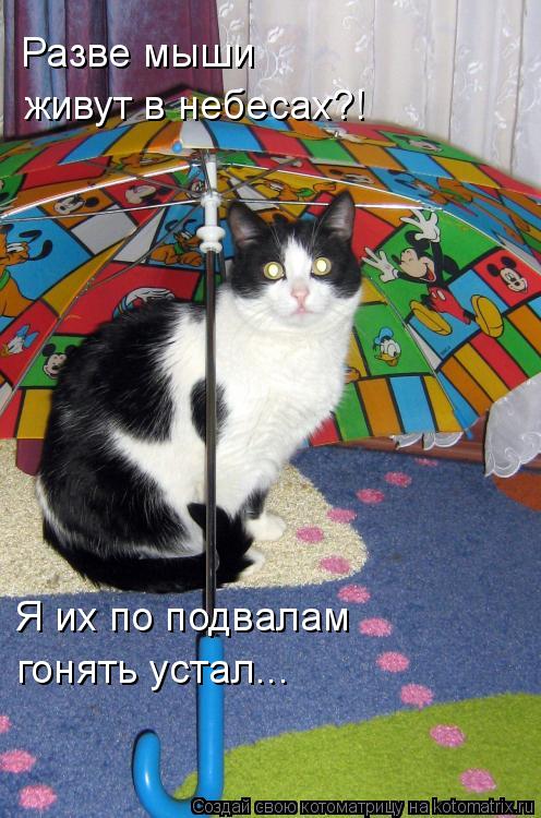 Котоматрица: Разве мыши  живут в небесах?! Я их по подвалам гонять устал...