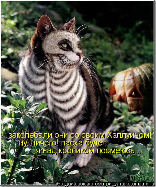 Котоматрица: заколебали они со своим Хэллуином! ну, ничего! пасха будет, я над кроликом посмеюсь....