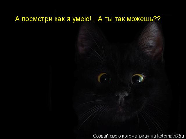Котоматрица: А посмотри как я умею!!! А ты так можешь??