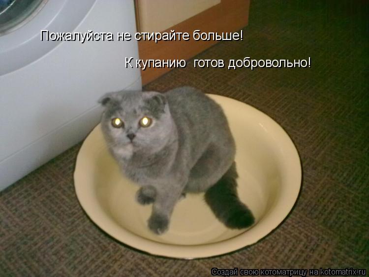 Котоматрица: Пожалуйста не стирайте больше! К купанию  готов добровольно!