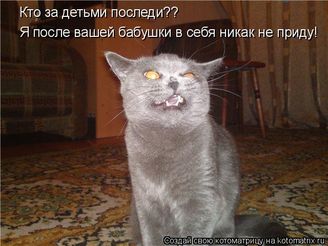 Котоматрица: Кто за детьми последи?? Я после вашей бабушки в себя никак не приду!
