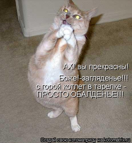 Котоматрица: АХ! вы прекрасны!  Боже!-загляденье!!! с горой котлет в тарелке -  ПРОСТО ОБАЛДЕНЬЕ!!!