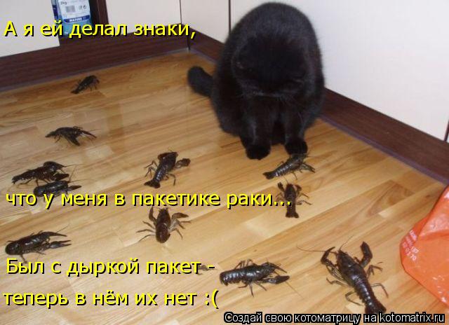 Котоматрица: А я ей делал знаки,  что у меня в пакетике раки... Был с дыркой пакет -  теперь в нём их нет :(