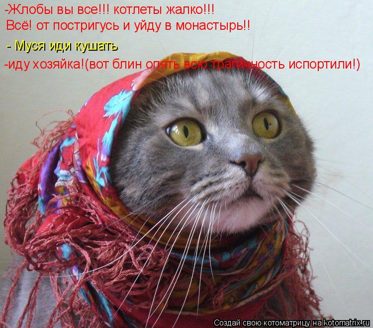 Котоматрица: -Жлобы вы все!!! котлеты жалко!!! Всё! от постригусь и уйду в монастырь!! - Муся иди кушать -иду хозяйка!(вот блин опять всю трагичность испортил