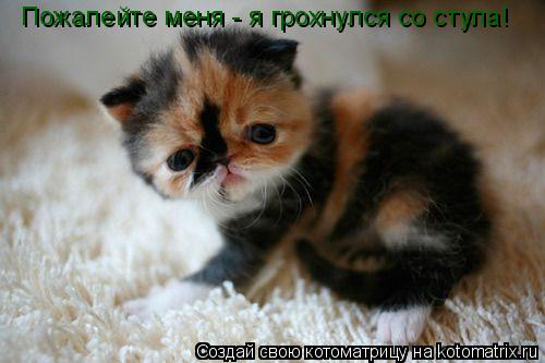 Котоматрица: Пожалейте меня - я грохнулся со стула!