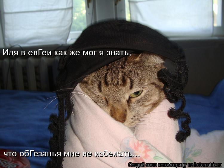 Котоматрица: Идя в евГеи как же мог я знать, что обГезанья мне не избежать...