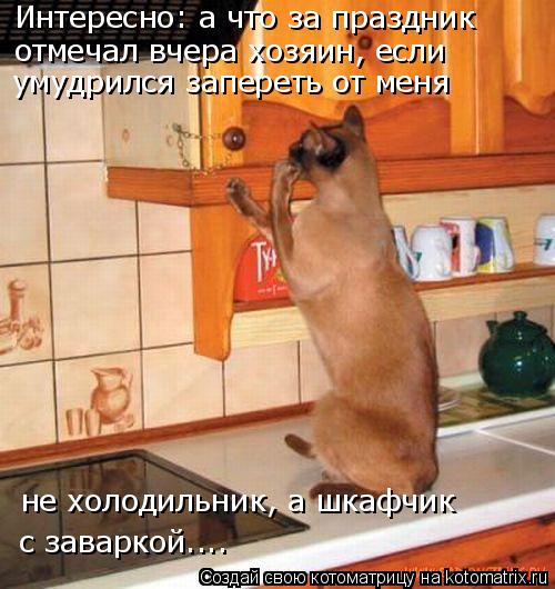 Котоматрица: Интересно: а что за праздник отмечал вчера хозяин, если умудрился запереть от меня  с заваркой.... не холодильник, а шкафчик