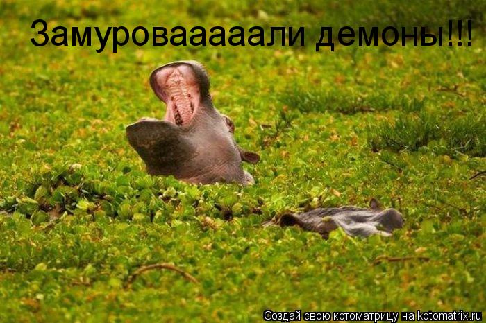 Котоматрица: Замуровааааали демоны!!!