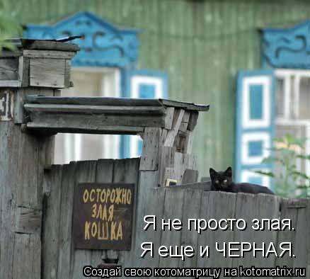 Котоматрица: Я не просто злая. Я еще и ЧЕРНАЯ.