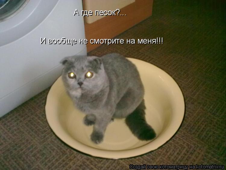 А где песок?... А где песок?... И вообще не смотрите на меня!!!... Котоматрица: А где песок?... А где песок?... И вообще не смотрите на меня!!!
