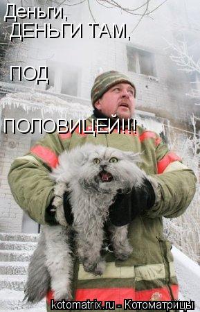 Деньги, ДЕНЬГИ ТАМ, ПОД ПОЛОВИЦЕЙ!!!... Котоматрица: Деньги, ДЕНЬГИ ТАМ, ПОД ПОЛОВИЦЕЙ!!!