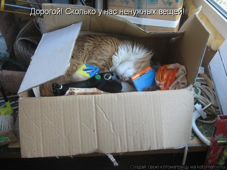 Дорогой! Сколько у нас ненужных вещей!... Котоматрица: Дорогой! Сколько у нас ненужных вещей!