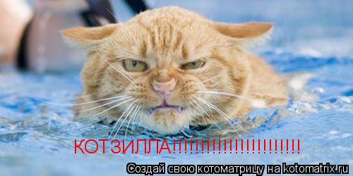 КОТЗИЛЛА!!!!!!!!!!!!!!!!!!!!!!!... Котоматрица: КОТЗИЛЛА!!!!!!!!!!!!!!!!!!!!!!!