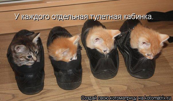 У каждого отдельная тулетная кабинка.... Котоматрица: У каждого отдельная тулетная кабинка.
