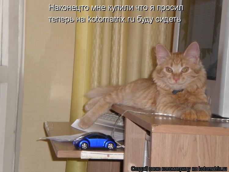 Наконецто мне купили что я просил теперь на kotomatrix.ru буду сидеть... Котоматрица: Наконецто мне купили что я просил теперь на kotomatrix.ru буду сидеть