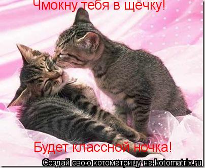 Котоматрица: Чмокну тебя в щёчку! Будет классной ночка!