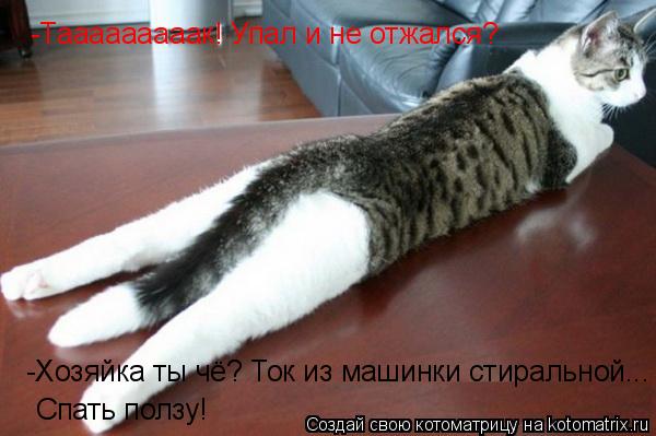 -Тааааааааак! Упал и не отжался? -Хозяйка ты чё? Ток из машинки стиральной... Спать ползу!... Котоматрица: -Тааааааааак! Упал и не отжался? -Хозяйка ты чё? Ток из машинки стиральной... Спать ползу!