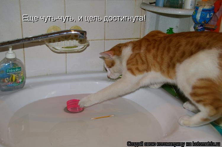 Еще чуть-чуть, и цель достигнута!... Котоматрица: Еще чуть-чуть, и цель достигнута!