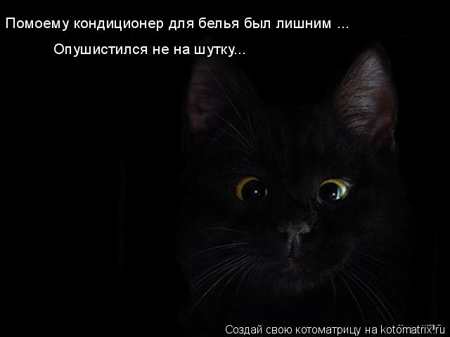 Помоему кондиционер для белья был лишним ... Опушистился не на шутку...... Котоматрица: Помоему кондиционер для белья был лишним ... Опушистился не на шутку...