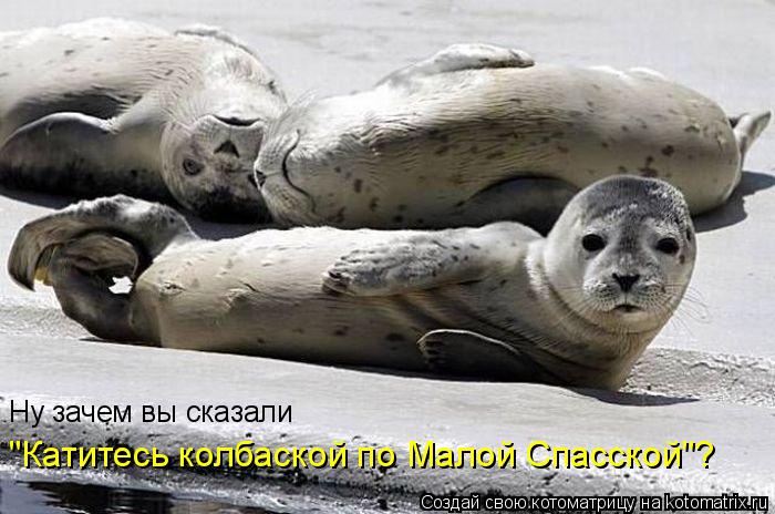 Ну зачем вы сказали "Катитесь колбаской по Малой Спасской"?... Котоматрица: Ну зачем вы сказали "Катитесь колбаской по Малой Спасской"?